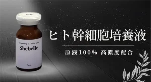 アクティバートオンラインページのアイコン